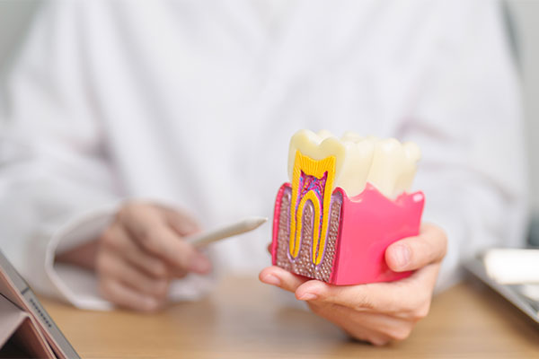 Oral Issues Your Dentist Looks For During A Dental Exam