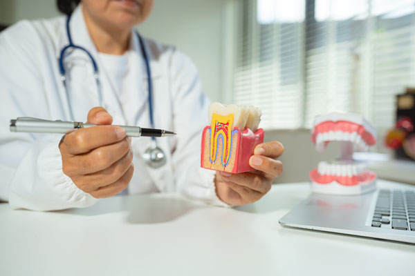 What Is Endodontics? A Guide To Saving Teeth From The Inside Out