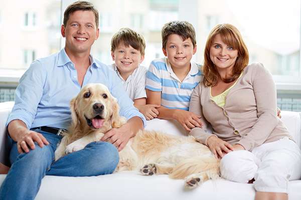 Why Choose One Family Dentist for Everyone in Your Family from New York Dental Office in New York, NY